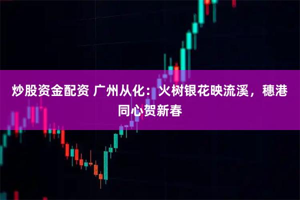 炒股资金配资 广州从化：火树银花映流溪，穗港同心贺新春